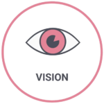 vision