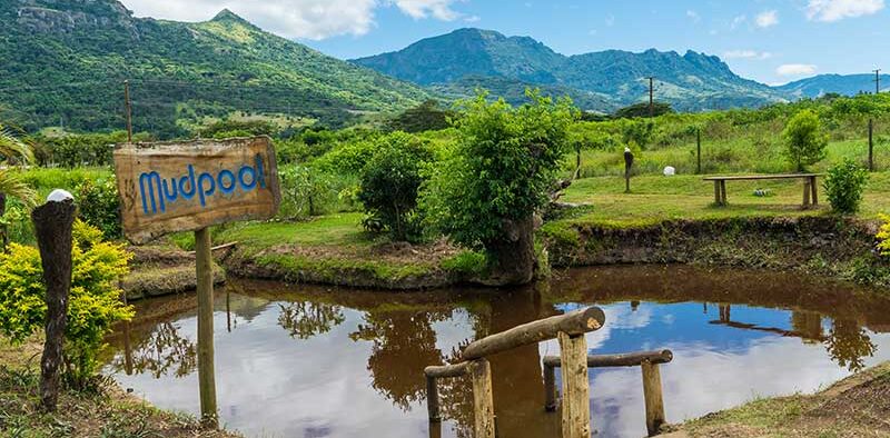 Fiji-mud-pools-springs-1 Fiji-mud-pools-springs-1
